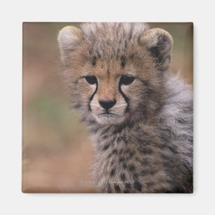 Masai Mara National Reserve Magnet