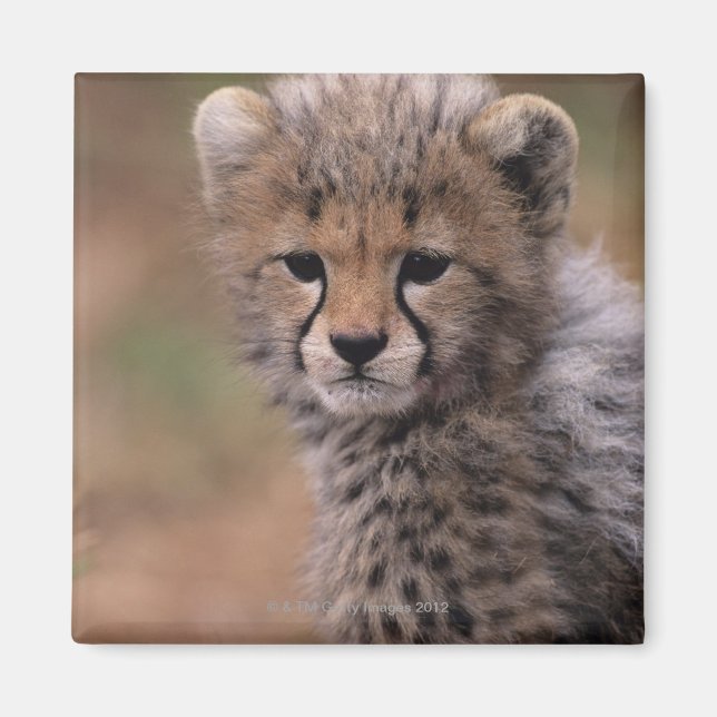 Masai Mara National Reserve Magnet (Front)