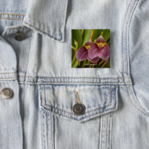 Masdevallia 15 Cm Square Badge