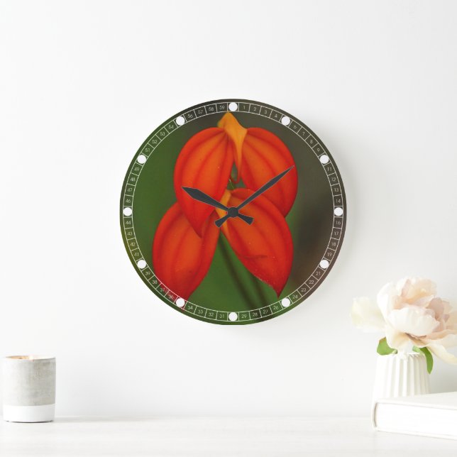 Masdevallia ignea Orchid Large Clock (Home)