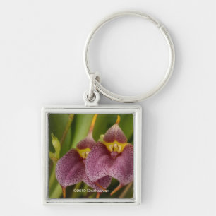 Masdevallia Key Ring