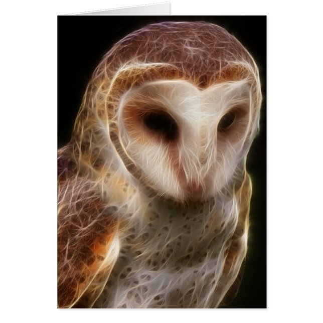 Masked Owl Fractal (Front)