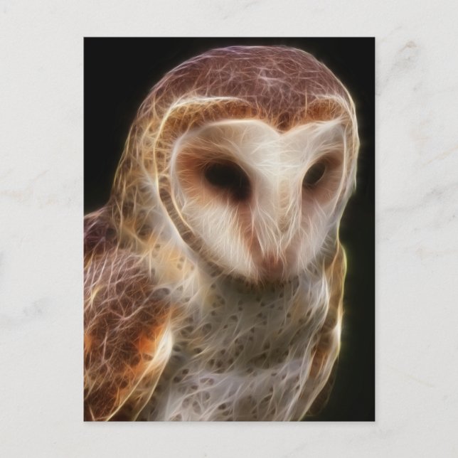 Masked Owl Fractal Postcard (Front)