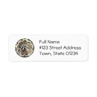 Masked Racoon Mailing Label
