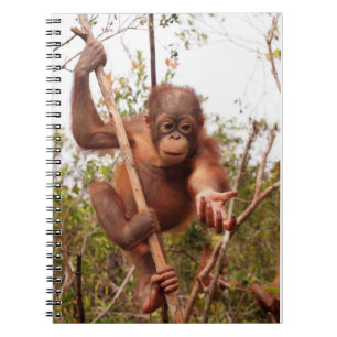 Mason Orangutan - Lend Me a Hand Spiral Notebook
