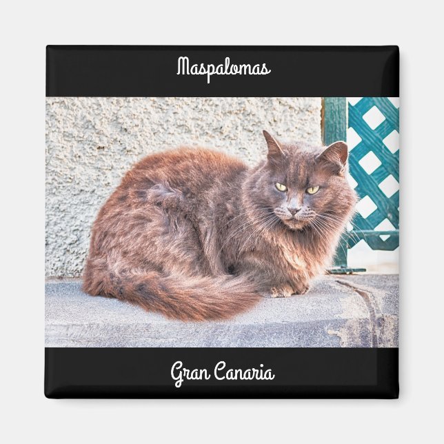 Maspalomas Cat Magnet (Front)