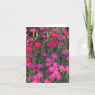 MASS OF PINK AND RED FLOWERS CARD