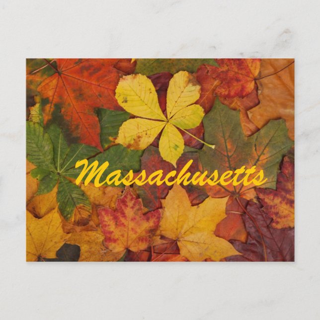 Massachusetts Autumn Leaves Postcard (Front)