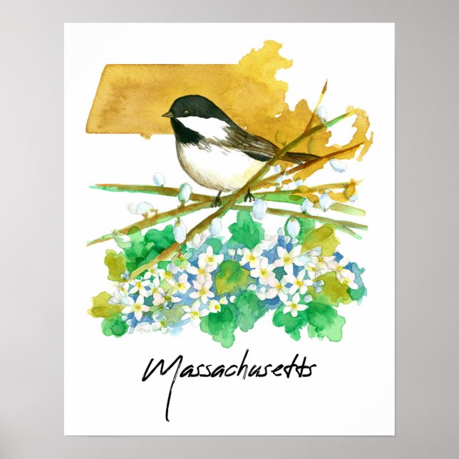 Massachusetts Bird Chickadee Willow Branches Poster (Front)