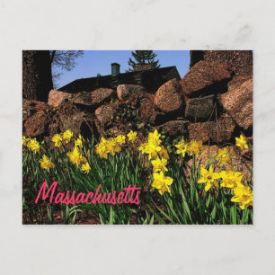 Massachusetts Postcard