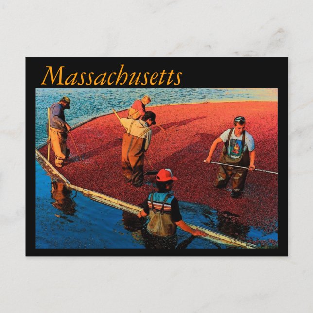 Massachusetts Postcard (Front)