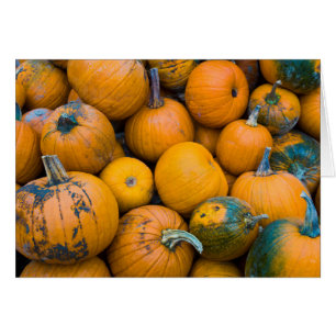 Massachusetts, Salisbury, pumpkins, autumn