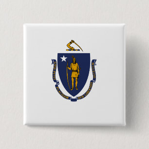 Massachusetts State Flag 15 Cm Square Badge