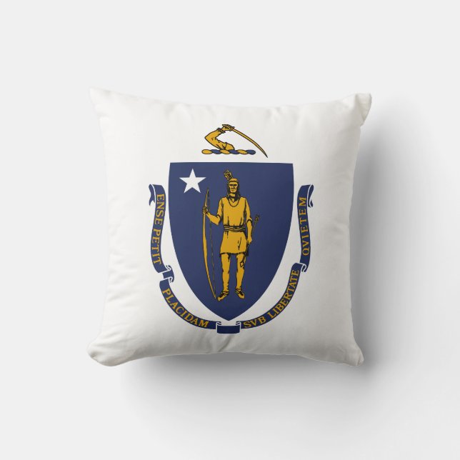 Massachusetts State Flag Cushion (Front)