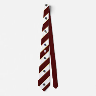 Massachusetts stripes flag tie