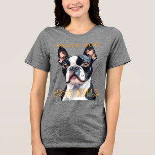 Massachusetts Territory Dog The Boston Terrier Art Tri-Blend Shirt