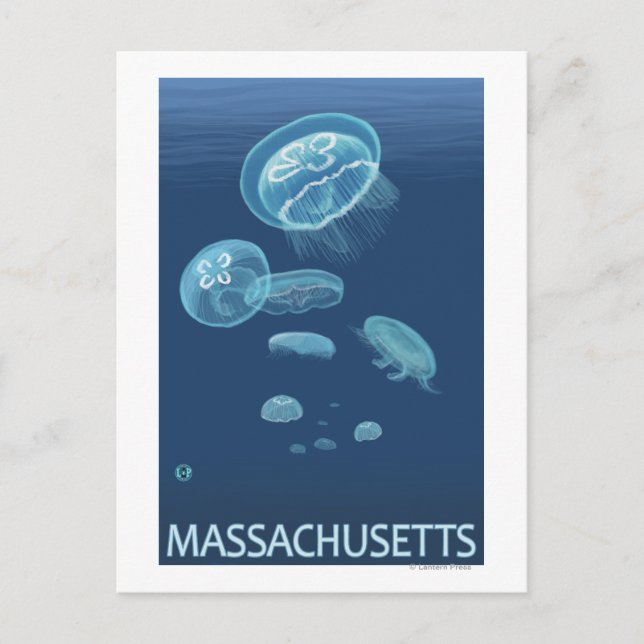 MassachusettsJellyfish Scene Postcard (Front)