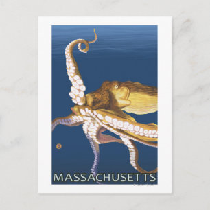 MassachusettsOctopus Scene Postcard