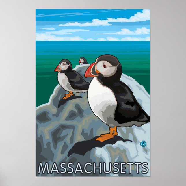 MassachusettsPuffins Scene Poster (Front)