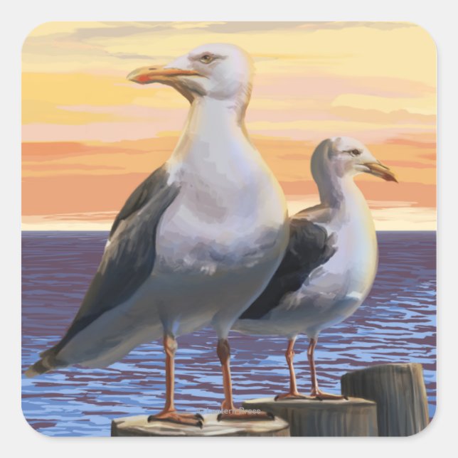 MassachusettsSea Gulls Scene Square Sticker (Front)