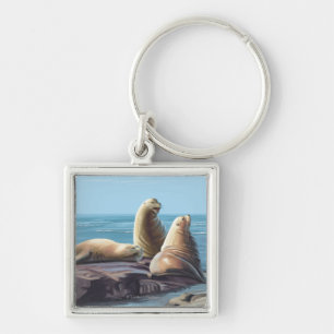 MassachusettsSea Lions Scene Key Ring