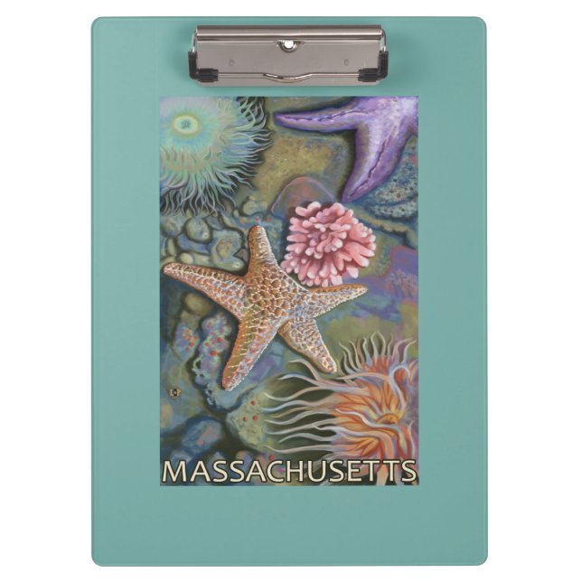 MassachusettsTidepool Scene Clipboard (Front)