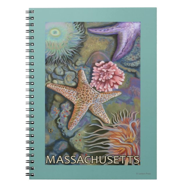 MassachusettsTidepool Scene Spiral Notebook (Front)