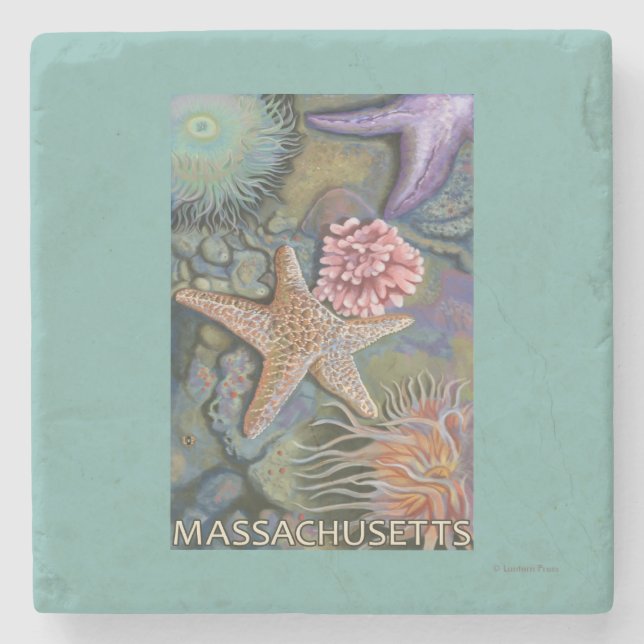 MassachusettsTidepool Scene Stone Coaster (Front)