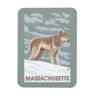 MassachusettsWolf Scene Magnet