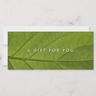 Massage Spa Wellness Nature Gift Certificates