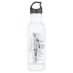 Massage, Yogi, and Reiki 710 Ml Water Bottle