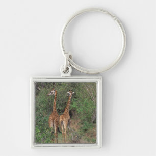 Massai Giraffe 3 Key Ring