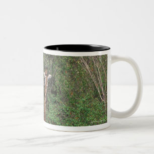 Massai Giraffe 3 Two-Tone Coffee Mug