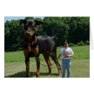Massive Dog