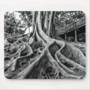 Massive rubber tree roots mouse pad