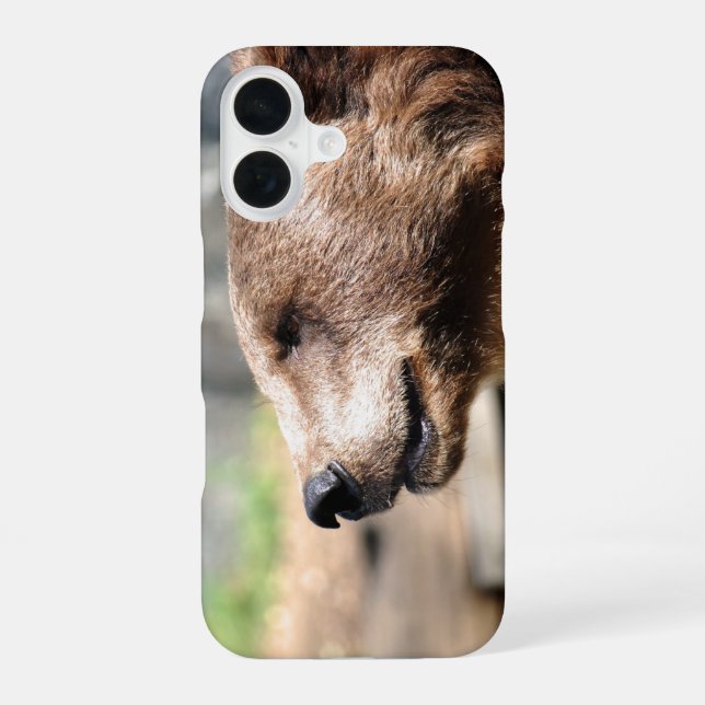 Master Bruin... iPhone 16 Case (Back)