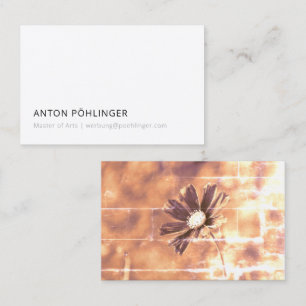 master minimal reduced business card