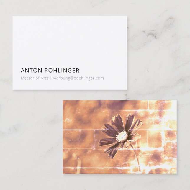 master minimal reduced business card (Front/Back)