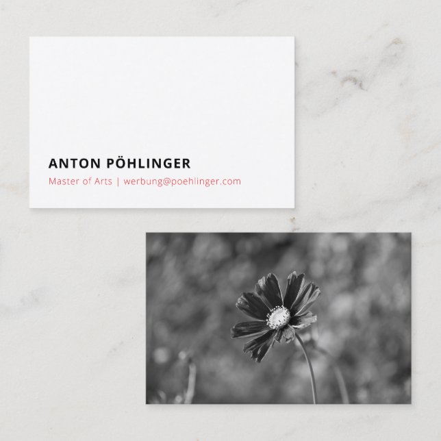 master minimal reduced business card (Front/Back)