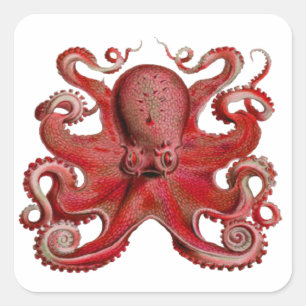 MASTER OF DEPTHS SQUARE STICKER