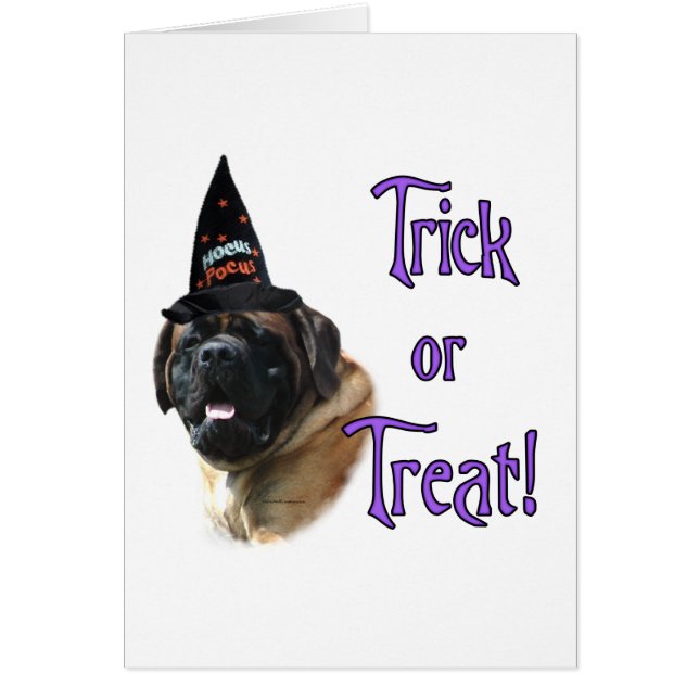 Mastiff (apricot) Trick (Front)