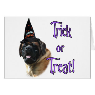 Mastiff (apricot) Trick