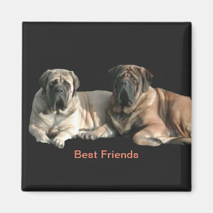 Mastiff Best Friends   Magnet
