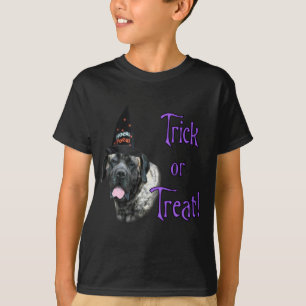 Mastiff (brindle) Trick T-Shirt