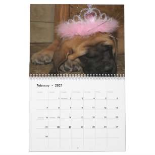 Mastiff calendar