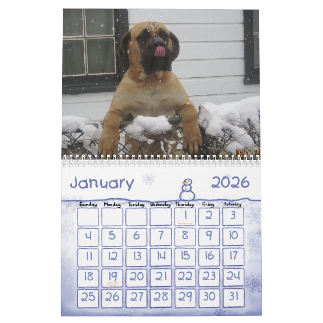 Mastiff Calendar (Jan 2026)