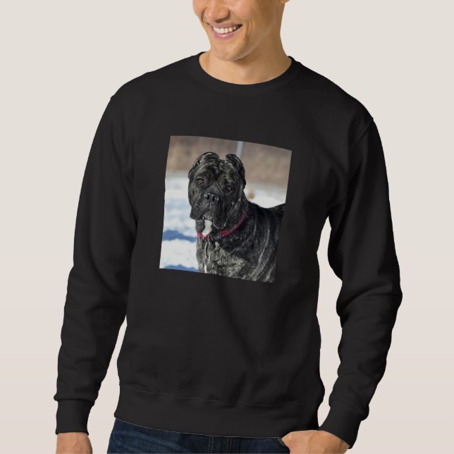 MASTIFF/CANE CORSO MEN'S SWEATSHIRT (Front)