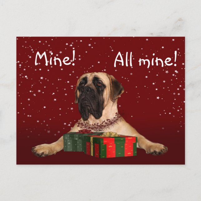 Mastiff Christmas Holiday Postcard (Front)