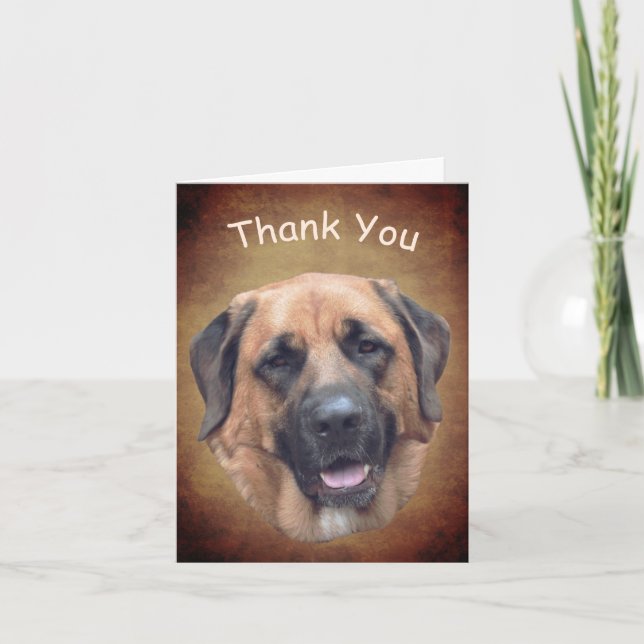 Mastiff Dog Customisable Thank You Card (Front)