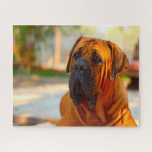 Mastiff Dog. Jigsaw Puzzle